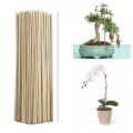 Saksı Fidan Çiçek Bitki Çubuğu Ahşap 100cm - (10 Adet)