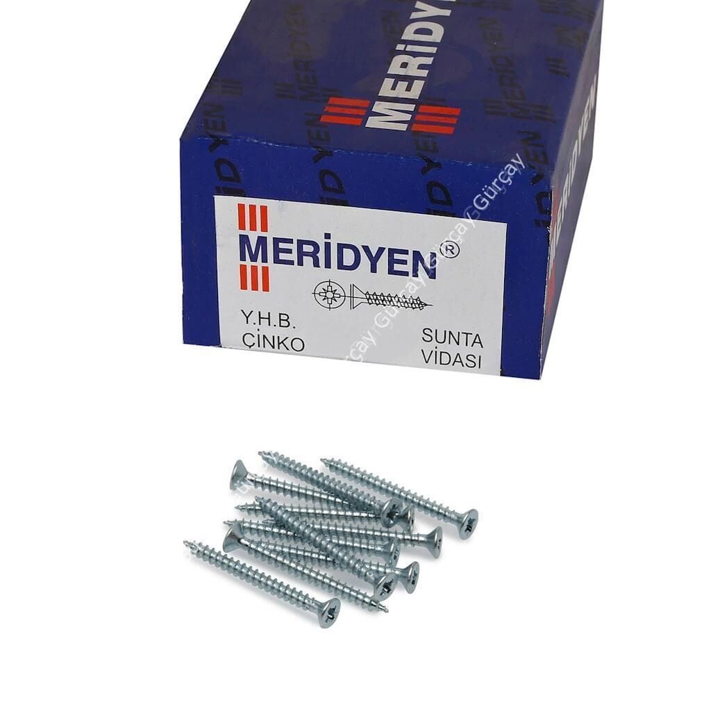 Meridyen Sunta Vidası 2.5x16mm 1000 Adet Siyah